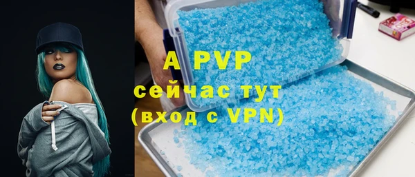 эйфоретик Покачи