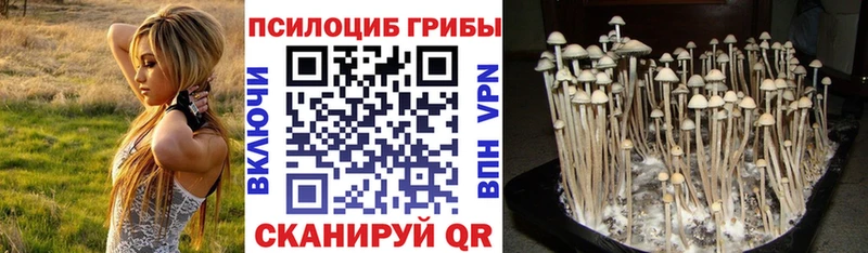 Псилоцибиновые грибы GOLDEN TEACHER  где купить наркоту  Белогорск 
